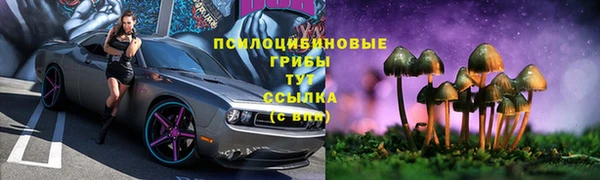 спиды Костерёво