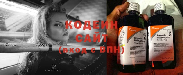 крисы Надым