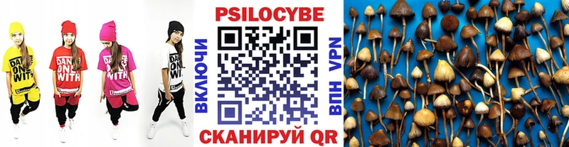 где продают наркотики  Корсаков  kraken ссылки  Псилоцибиновые грибы прущие грибы 